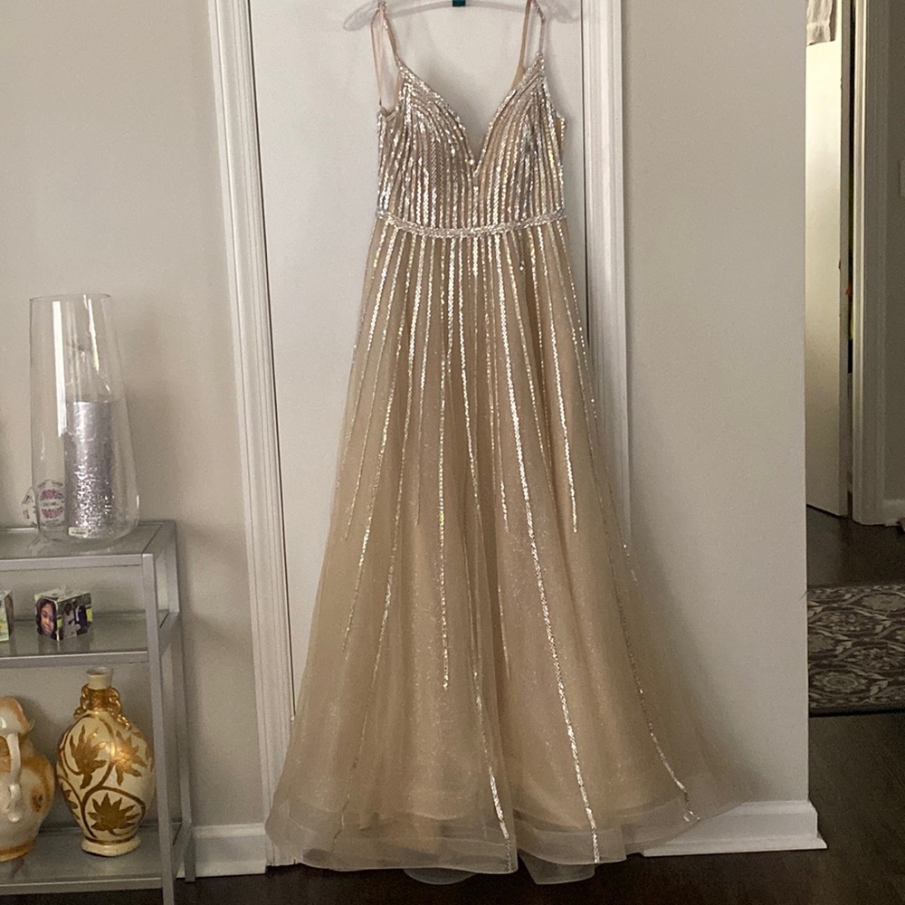 Cinderella Divine size 14 formal ballgown Dress